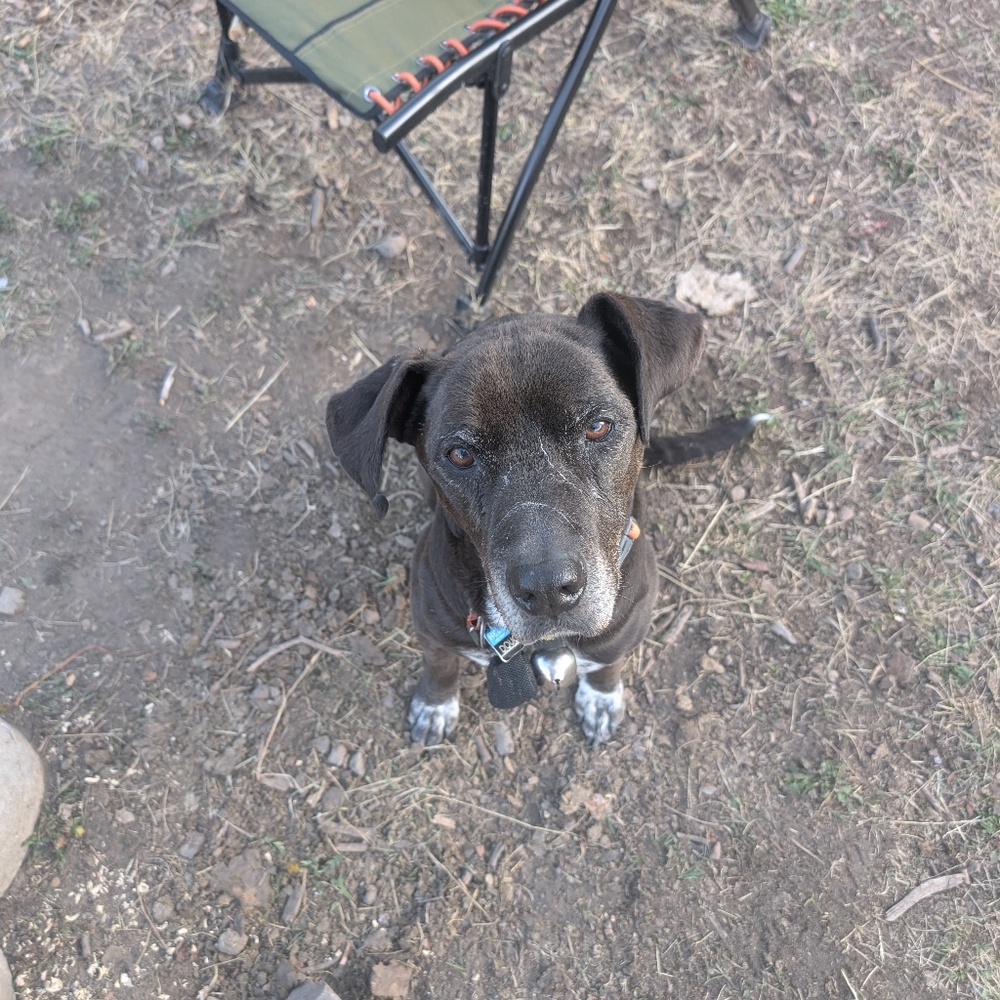 Meet your Posher, Jeff